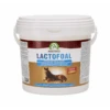 Audevard Lactofoal