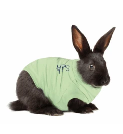 Medical Pet Shirt (Konijn)