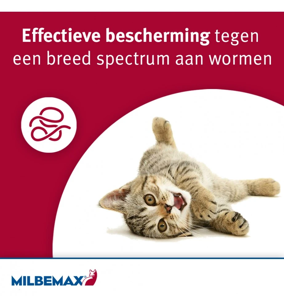 Milbemax Kleine Kat / Kitten - Afbeelding 3