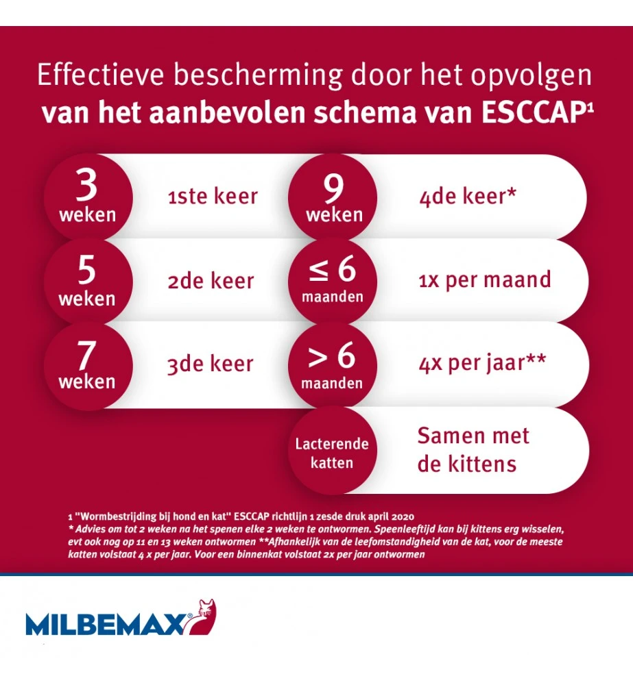 Milbemax Kleine Kat / Kitten - Afbeelding 4