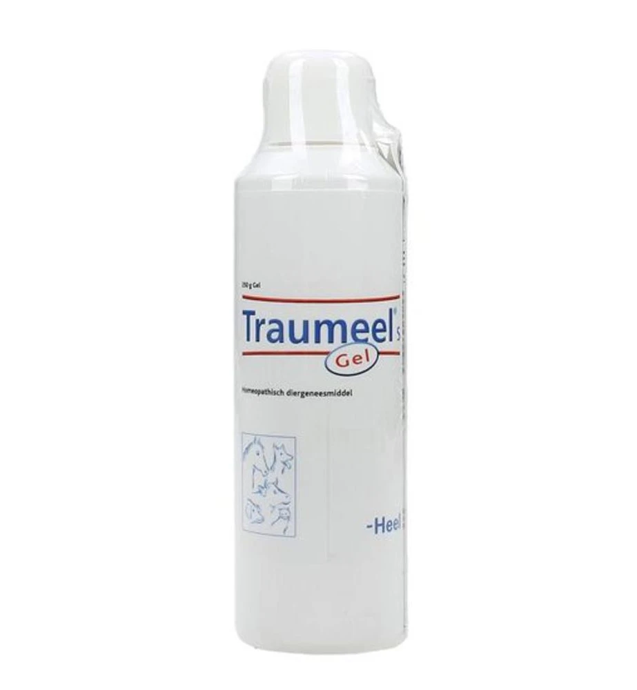 Traumeel S Gel - 250 Gram